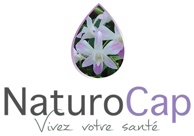 Logo de Naturocap, le site de Stéphanie Delmas, naturopathe certifiée