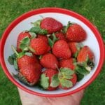 Assiette de fraises fraîches et rouges illustrant le lien entre dopamine et alimentation