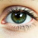 iris observé dans le cadre d’une séance d’iridologie à domicile