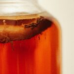 Gros plan d’un SCOBY dans un kombucha recette maison en fermentation