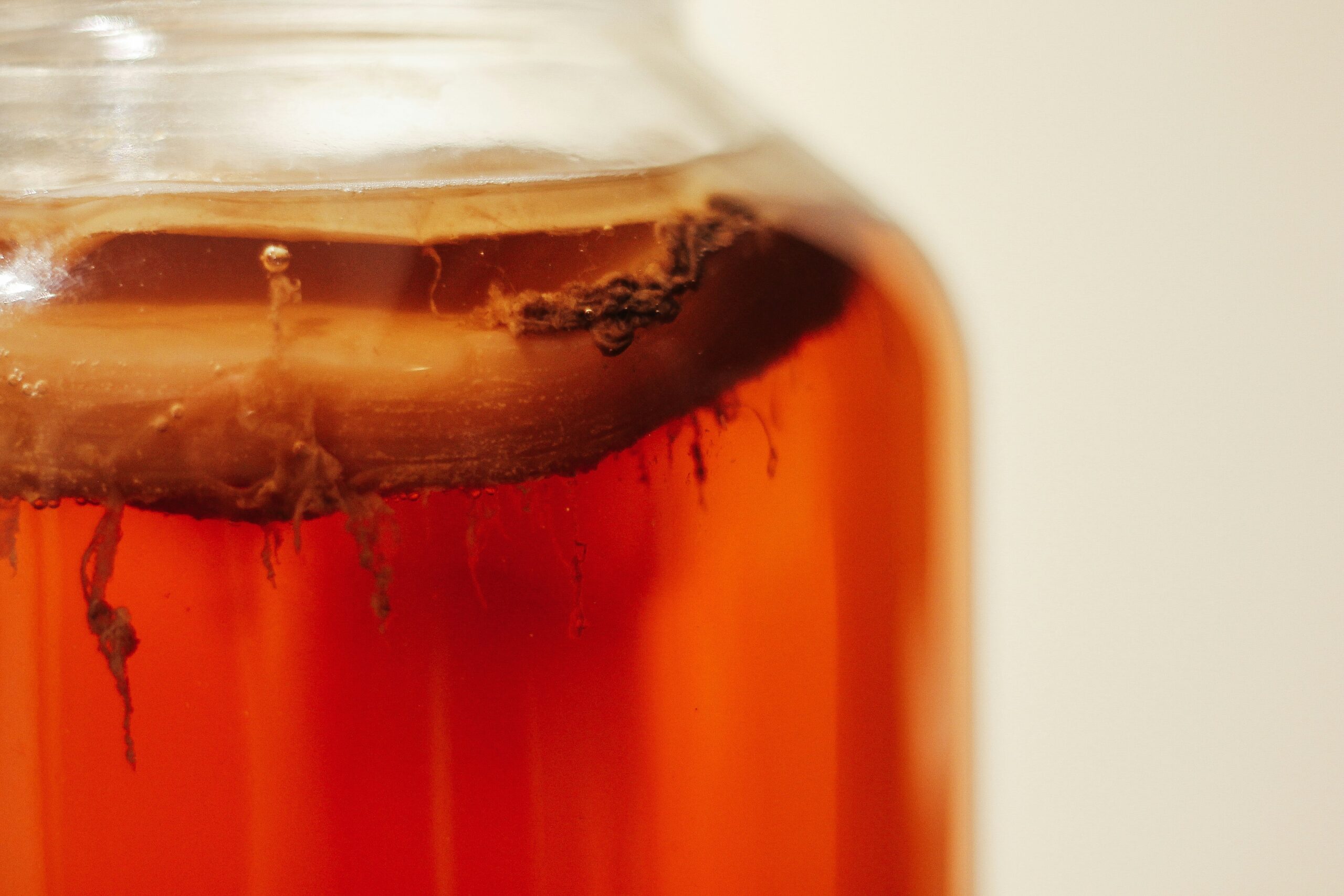 Gros plan d’un SCOBY dans un kombucha recette maison en fermentation