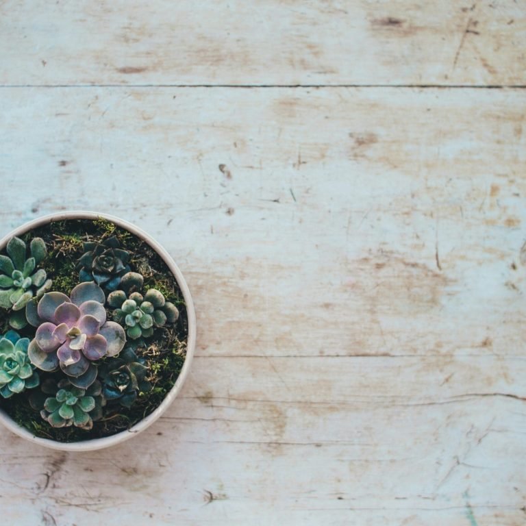 annie-spratt-zu-OdjJRa0w-unsplash