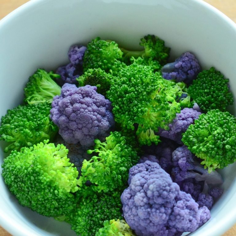 Assiette colorée de brocolis verts et de chou-fleur violet illustrant l'importance de l'alimentation dans les 3 piliers de la naturopathie.